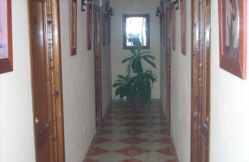 سان خوان ديل بويرتو Hostal Don Diego المظهر الخارجي الصورة